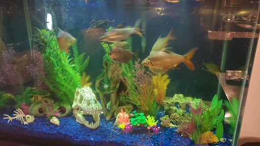 Pet Supply Store «PetSmart», reviews and photos, 1300 John F Kennedy Rd, Dubuque, IA 52002, USA