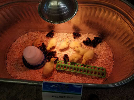 Pet Store «Simply Country Feed & Supply», reviews and photos, 12892 Ridge Rd, Grass Valley, CA 95945, USA