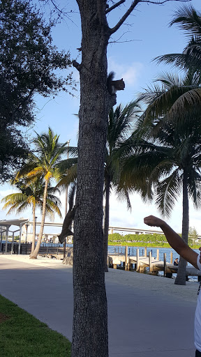 Performing Arts Theater «Bayfront Park Amphitheatre», reviews and photos, 301 Biscayne Blvd, Miami, FL 33132, USA