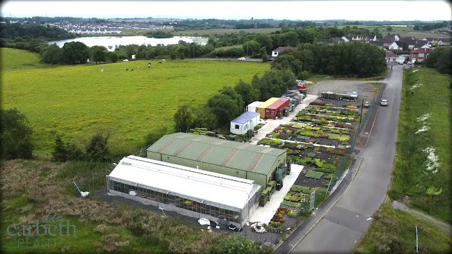Reviews of Carbeth Plants Ltd in Glasgow - Florist