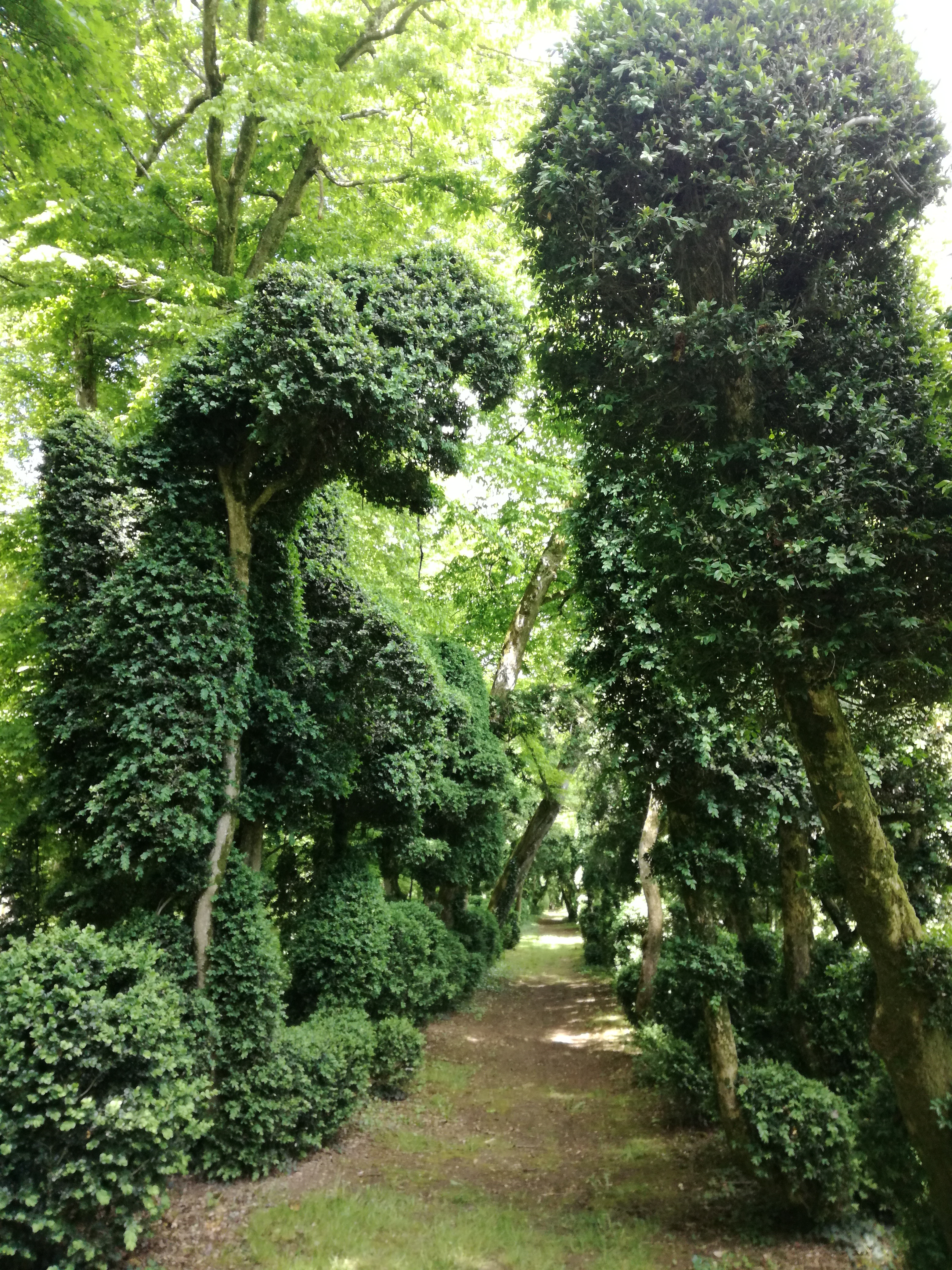 Photo n° 3 de l'avis de Valérie.A fait le 28/05/2021 à 11:04