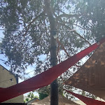 Photo n° 8 de l'avis de Gilles.a fait le 09/06/2024 à 07:00 pour Les Filles du Marronnier à Nantes