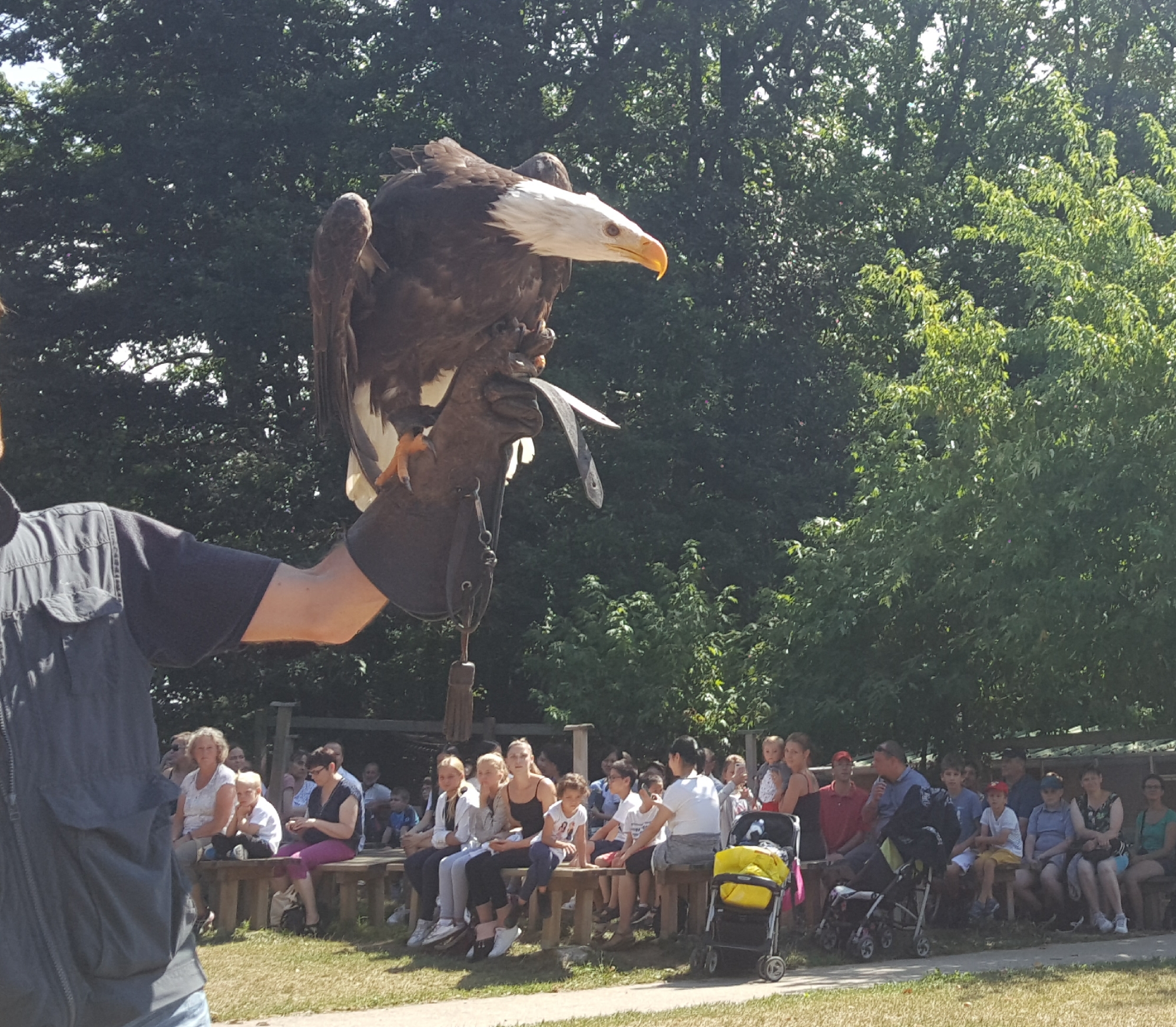 Photo n° 3 de l'avis de Dany.e fait le 09/08/2019 à 18:02