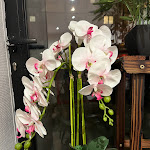 Photo n° 2 de l'avis de Zhuozhen.i fait le 04/03/2024 à 14:13 pour LE JARDIN DE XU à Clermont-Ferrand