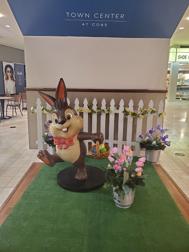 Shopping Mall «Town Center at Cobb», reviews and photos, 400 Ernest W Barrett Pkwy NW, Kennesaw, GA 30144, USA