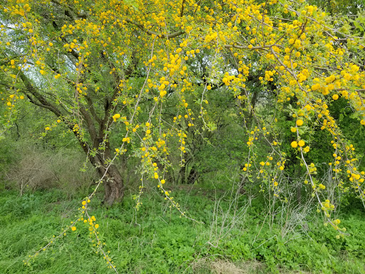 Park «Pearsall Park», reviews and photos, 4838 Old Pearsall Rd, San Antonio, TX 78242, USA