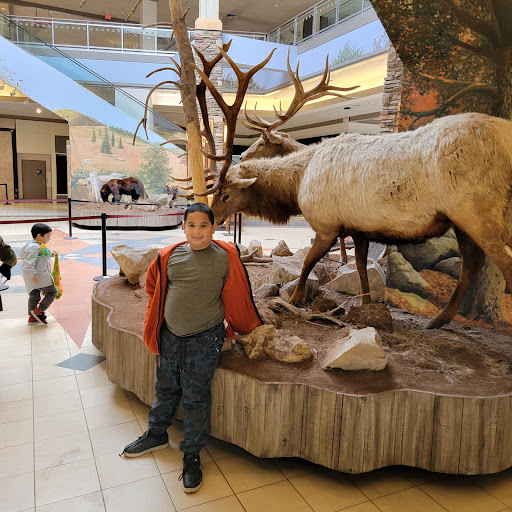 Shopping Mall «Harrisburg Mall», reviews and photos, 3501 Paxton St, Harrisburg, PA 17111, USA