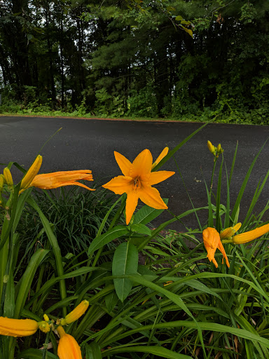 Shipping and Mailing Service «FedEx Ship Center», reviews and photos, 41 N Labombard Rd, Lebanon, NH 03766, USA