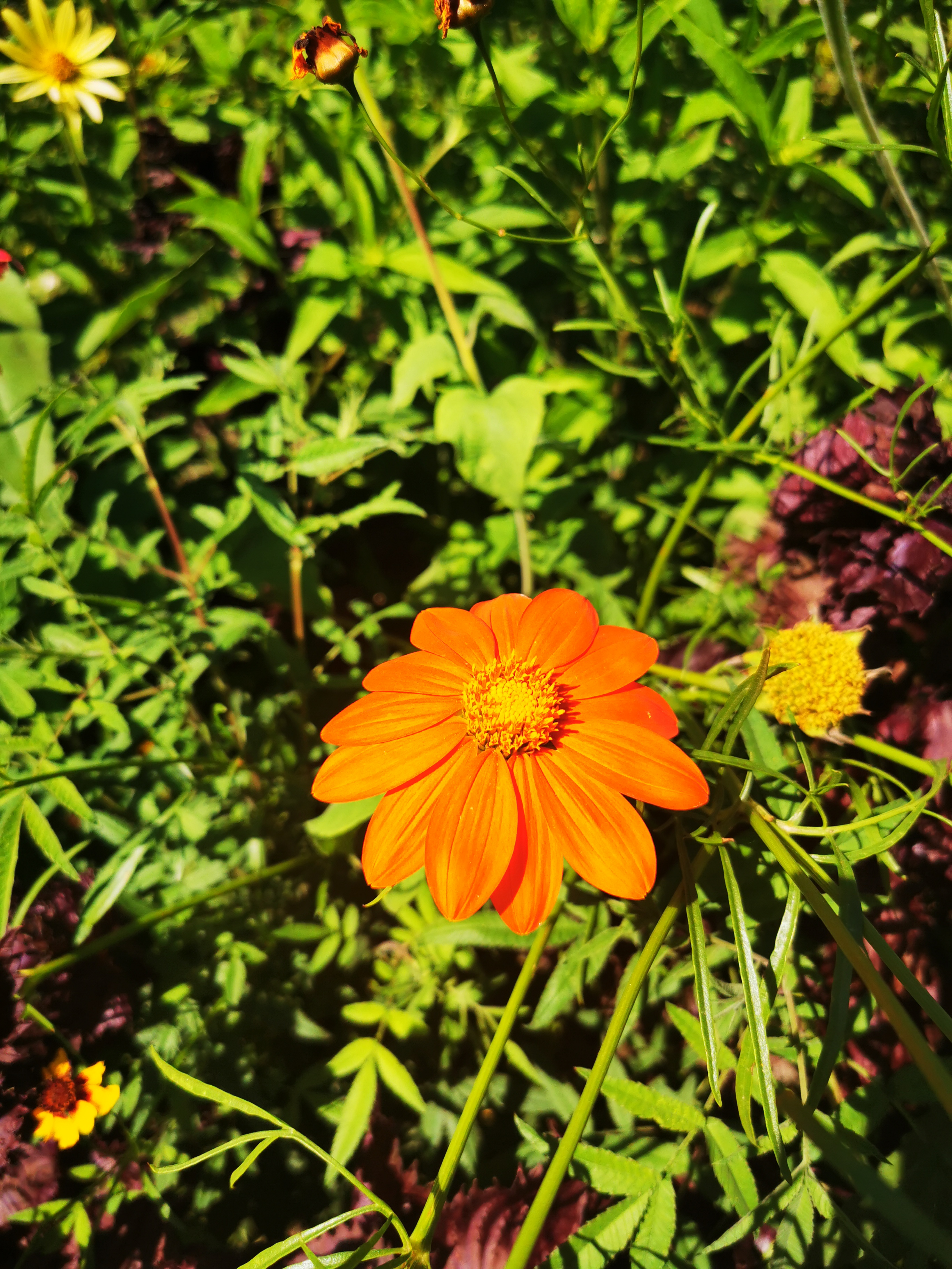 Photo n° 17 de l'avis de ASMA.A fait le 16/08/2022 à 18:29