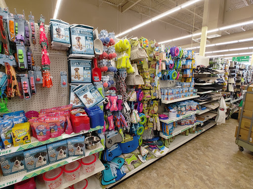 Dollar Store «Dollar Tree», reviews and photos, 201 Sioux Rd #100, Mankato, MN 56001, USA