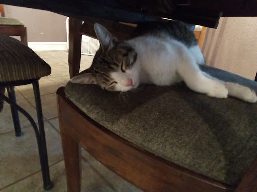 Community College «San Juan College», reviews and photos