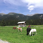 Photo n°1 de l'avis de Martina. fait le 06/06/2020 à 18:58 sur le  Albergo Gasperina Albergo Ristorante Gasperina Valvisdende à Santo Stefano di Cadore