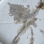 Photo n°2 de l'avis de Conrad.u fait le 10/08/2023 à 17:08 sur le  Ariatello Ristorante Pizzeria Kirchheimbolanden à Kirchheimbolanden