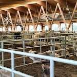 Photo n°4 de l'avis de Fabrizio.n fait le 25/09/2023 à 20:31 sur le  La Fiorida à Mantello