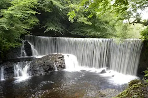 Calder Mill Waterfall image