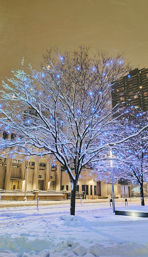 Park «Skyline Park», reviews and photos, 16th St, Denver, CO 80202, USA