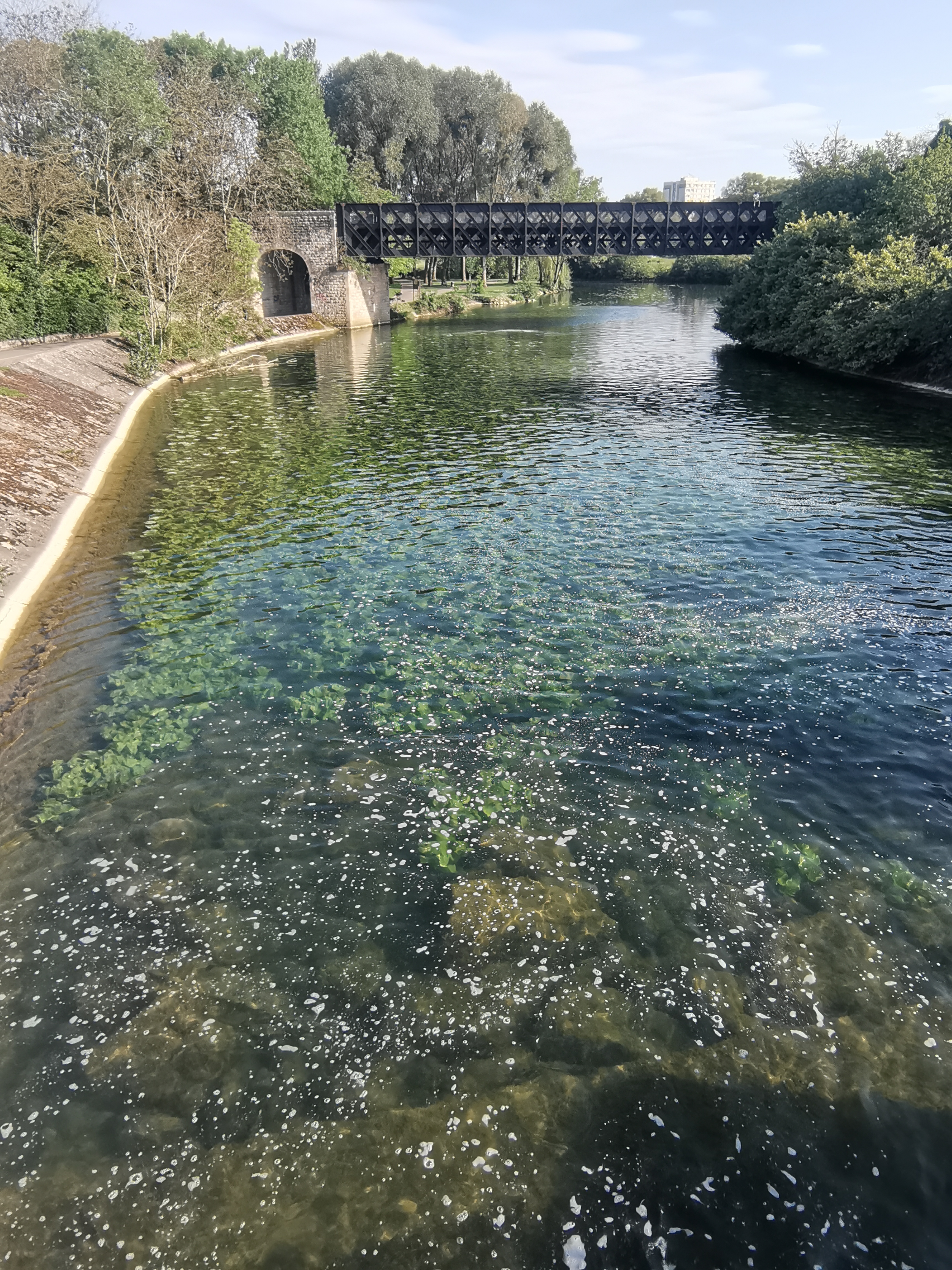 Photo n° 4 de l'avis de MICKAELLE.. fait le 16/05/2022 à 11:17