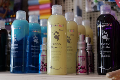 Dog Saloon - Salon de toilettage à Givet à Givet