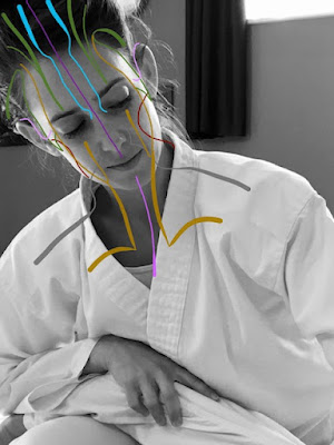 Shiatsu Lyon - Sabine Rivière à Lyon