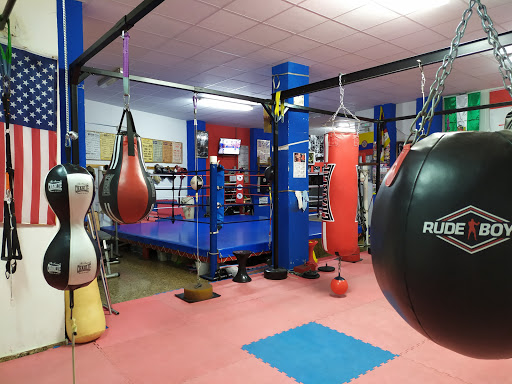 Boxeo Santaolaya en Albacete, Albacete