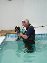 Nottingham Canine Hydrotherapy Centre