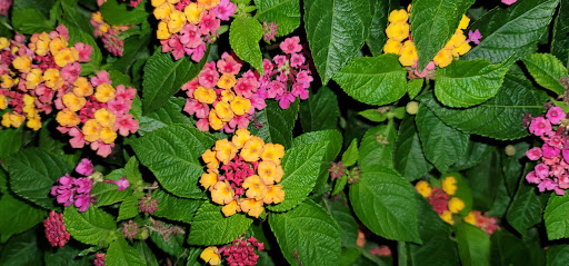 Fishing Pier «The Pier At Garden City», reviews and photos, 110 S Waccamaw Dr, Murrells Inlet, SC 29576, USA