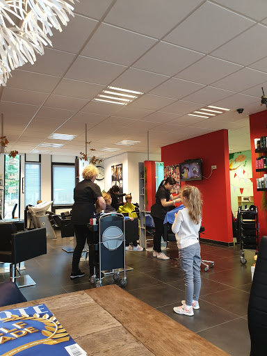 Hairdresser Studio R