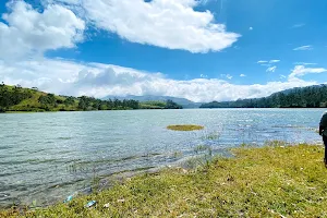 Anayirangal Dam Reservoir image