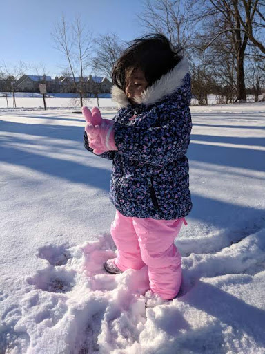 Park «Prairie Park», reviews and photos, 431 Knollwood Dr, Barrington, IL 60010, USA