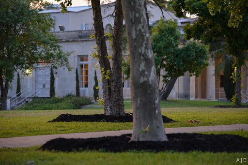 Performing Arts Theater «The Playhouse San Antonio», reviews and photos, 800 W Ashby Pl, San Antonio, TX 78212, USA