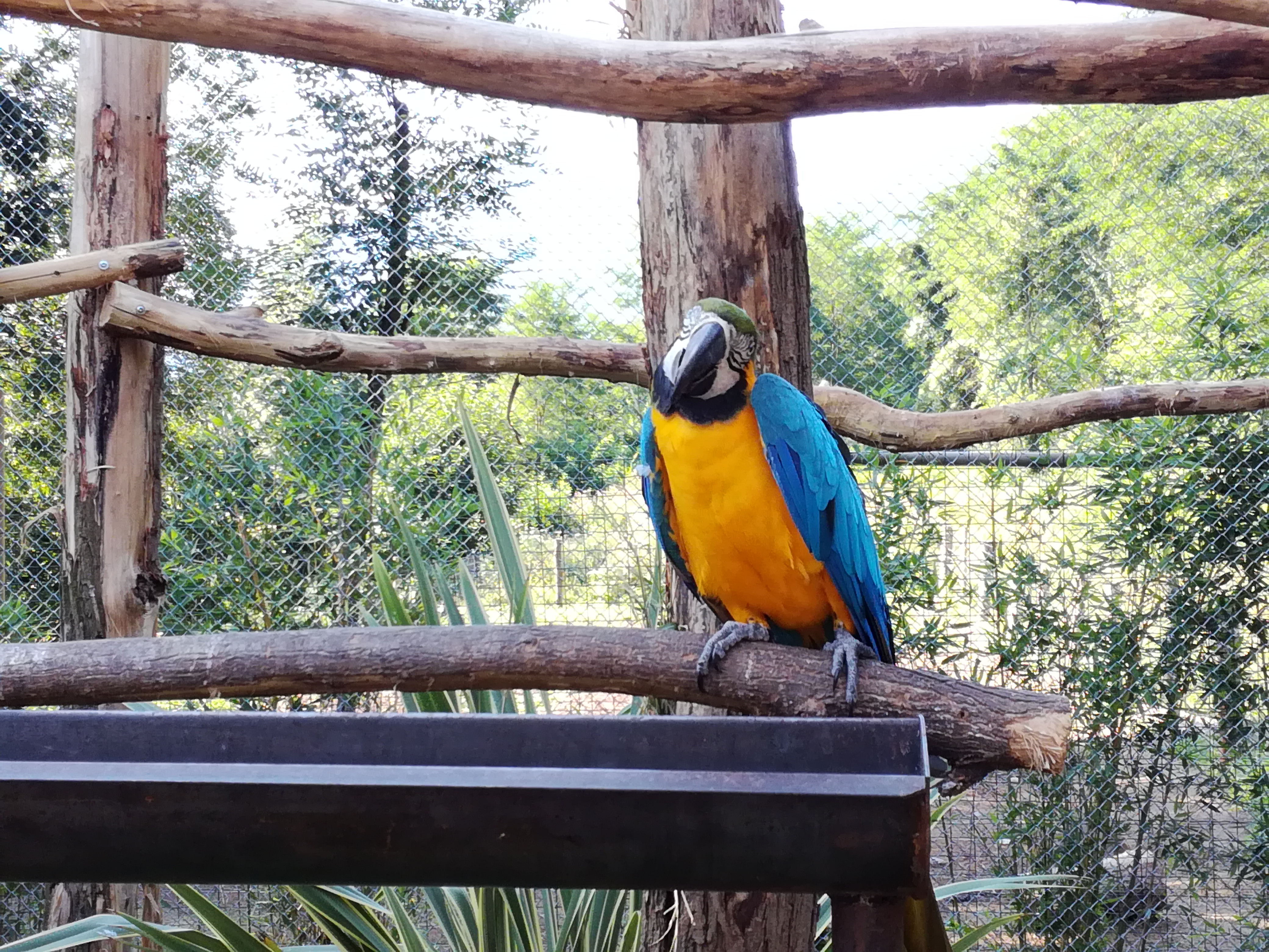 Photo n° 4 de l'avis de Belasco.i fait le 09/08/2021 à 10:20