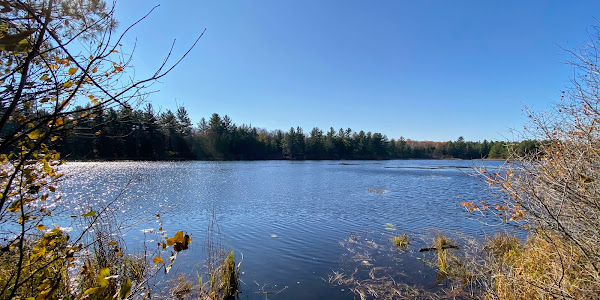 South March Highlands Conservation Forest