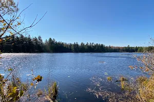 South March Highlands Conservation Forest image