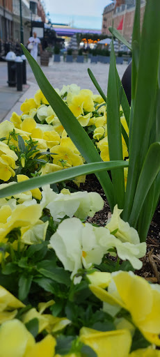 Maritime Museum «South Street Seaport Museum», reviews and photos, 12 Fulton St, New York, NY 10038, USA