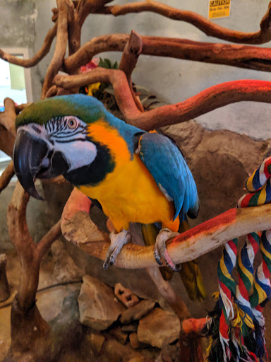 Pet Supply Store «PetKraze», reviews and photos, 100 Independent Way, Brewster, NY 10509, USA