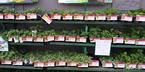 Supermarket «Walmart», reviews and photos, 1750 Indianapolis Rd, Greencastle, IN 46135, USA