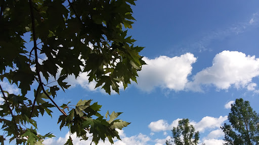 Park «Pioneer Park», reviews and photos, 10505 Deerfield Rd, Montgomery, OH 45242, USA