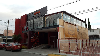 Nitro Training Center - Av. Estrella 196, Las Plazas, 36620 Irapuato, Gto., Mexico