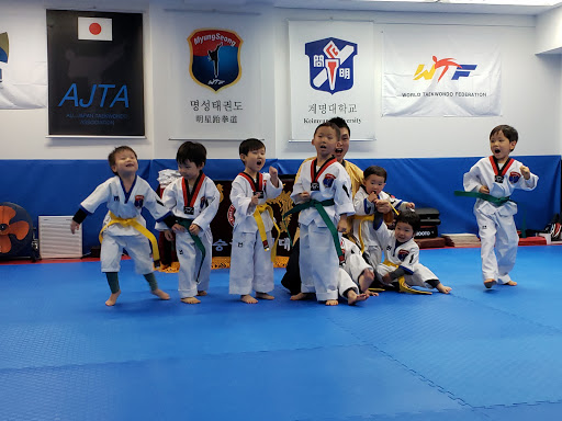 Myungseong Taekwondo