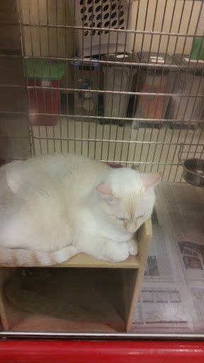 Pet Supply Store «PetSmart», reviews and photos, 159 N Weber Rd, Bolingbrook, IL 60490, USA