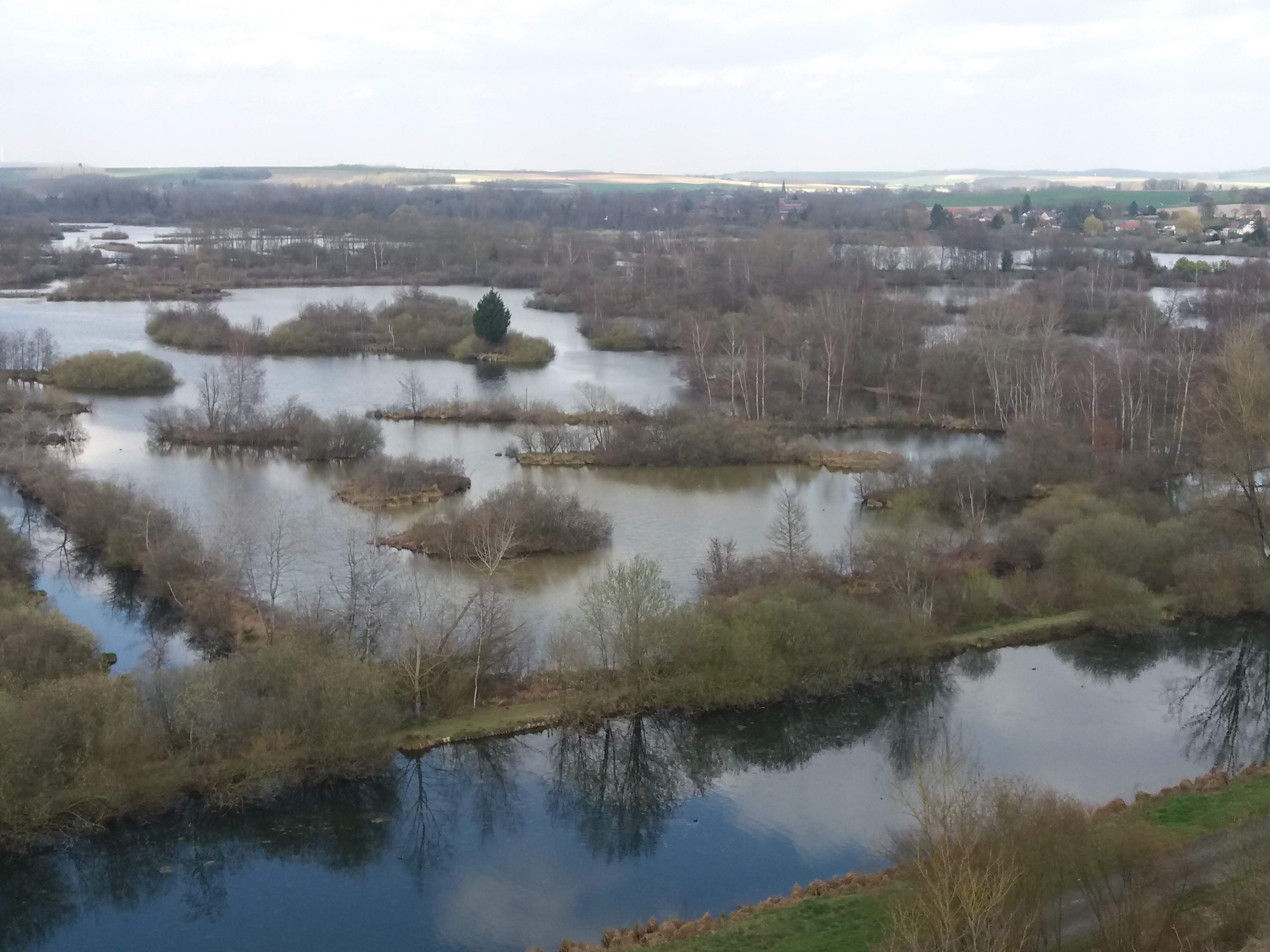 Photo n° 2 de l'avis de CLEENEWERCK.a fait le 31/03/2019 à 18:14