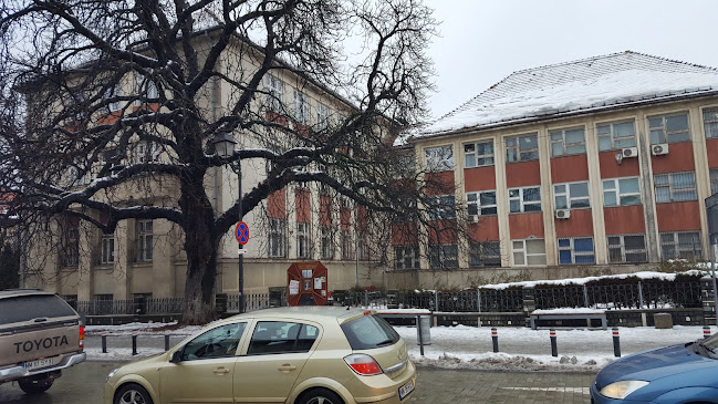 Poliția Municipiului Baia Mare