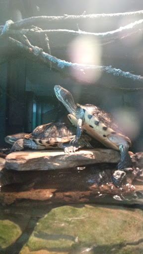 Recreation Center «Clayton County Parks & Recreation», reviews and photos, 2300 State Highway 138, Jonesboro, GA 30236, USA