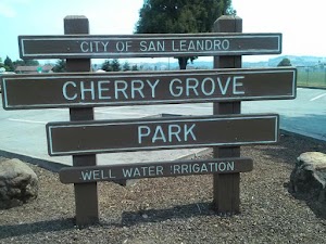 Cherry Grove Park - photo 45