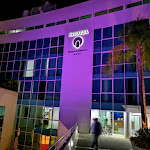 Photo n°1 de l'avis de Emanuele.r fait le 13/03/2020 à 22:40 sur le  Nicotel Bisceglie à Bisceglie