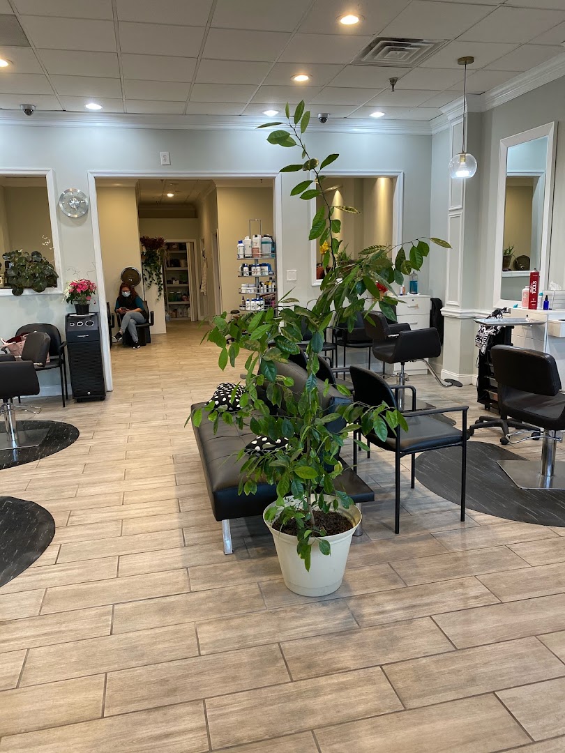 Frizzles | Hair salon in Springfield, VA