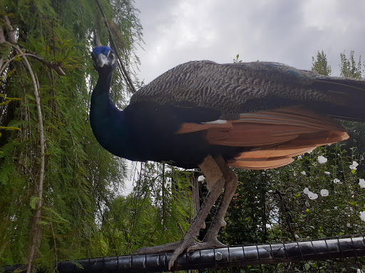 Pet Store «Ponds & Plants», reviews and photos