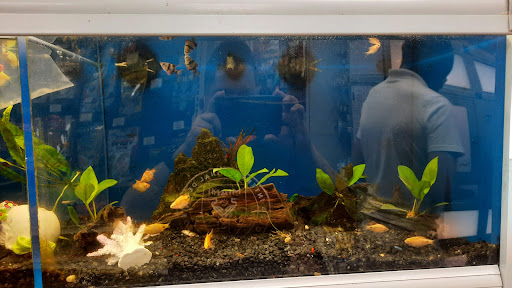 Pet Supply Store «Pet Supermarket», reviews and photos, 1800 W 68th St #140, Hialeah, FL 33014, USA