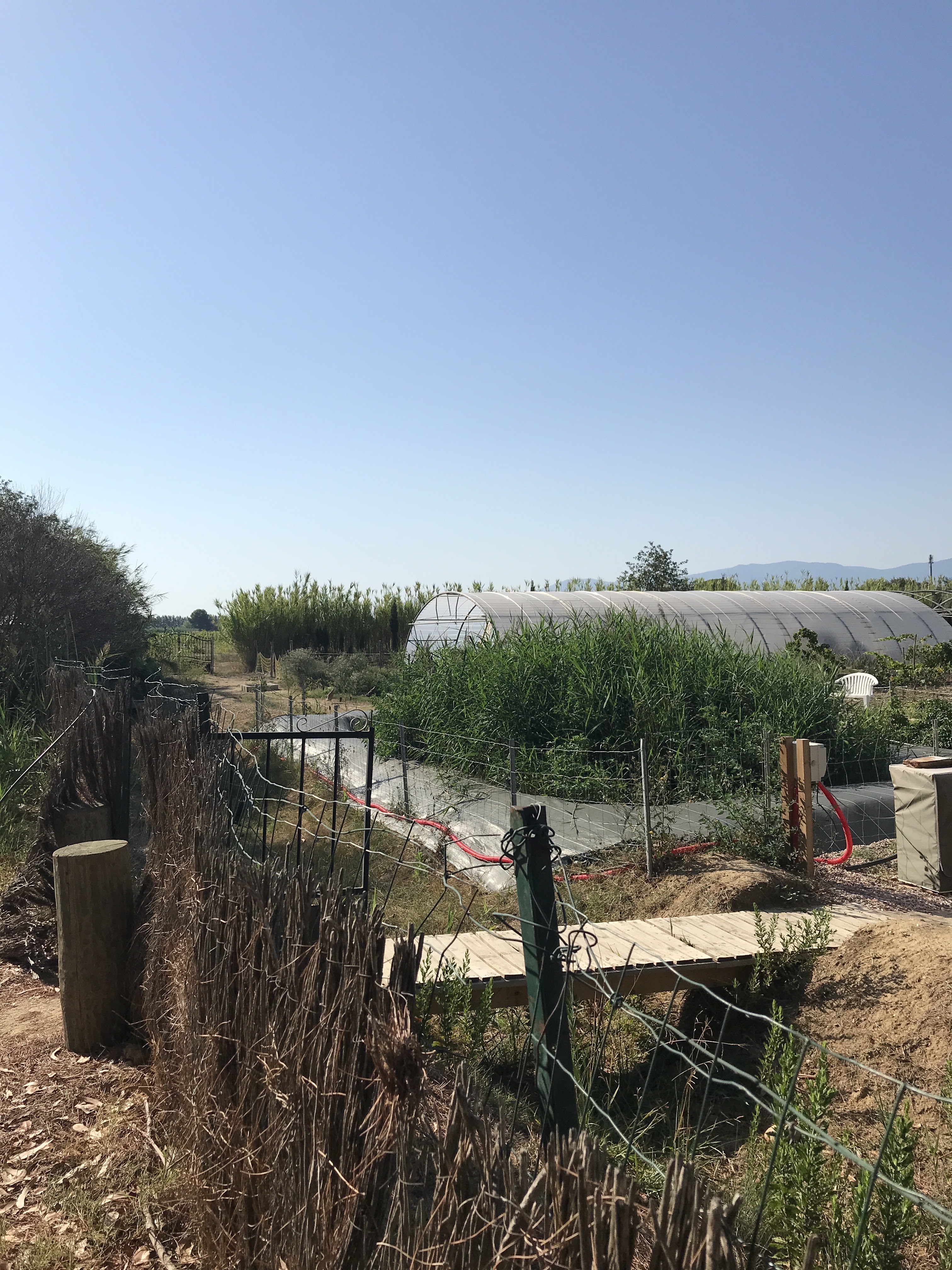 Photo n° 4 de l'avis de sibile.e fait le 23/08/2023 à 08:11
