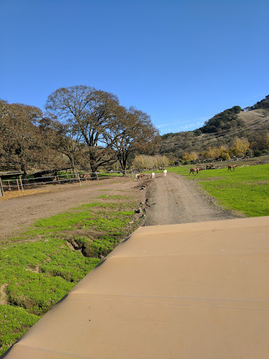 Tourist Attraction «Safari West», reviews and photos, 3115 Porter Creek Rd, Santa Rosa, CA 95404, USA